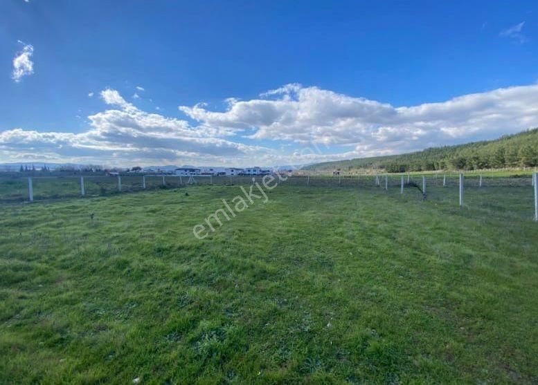 Acill Buca Karaağaçda 880m2 Resmi Hisse Tapulu Etrafı Çevrili Satılık Tarla(arsa) - Görsel 3