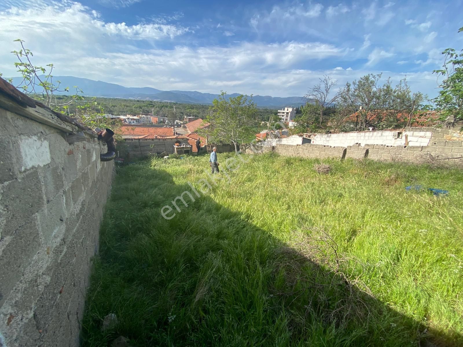 Balıkesir Havran Büyükdere Köyünde 227 M2 Köy İmarlı Arsa Satılık