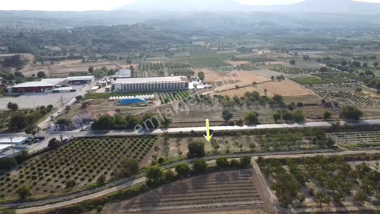 Eskidjiden İsabeyde,ana Yol Cepheli Yerleşime Yakın Fırsat Bahçe - Görsel 6