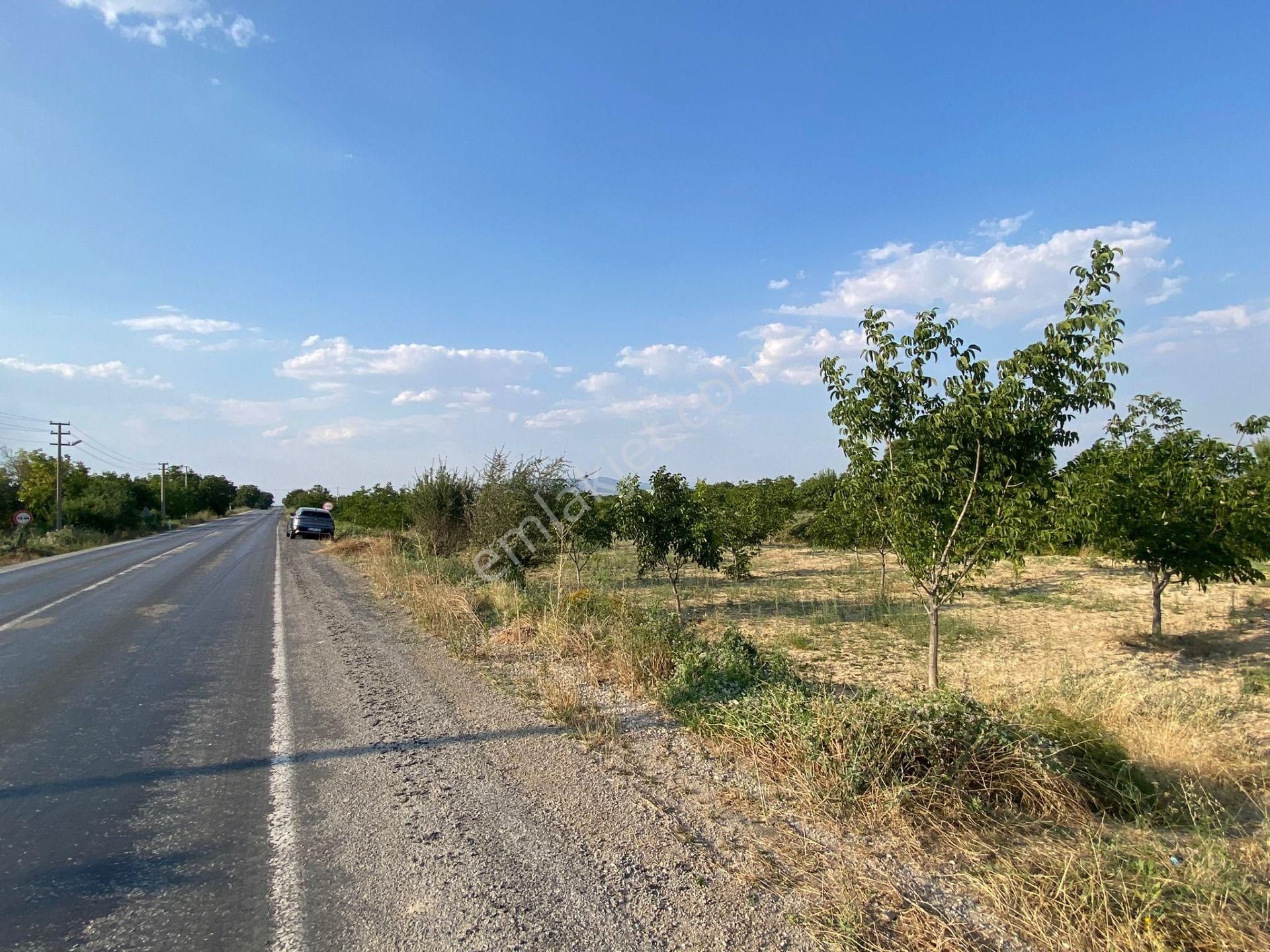Eskidjiden İsabeyde,ana Yol Cepheli Yerleşime Yakın Fırsat Bahçe - Görsel 10