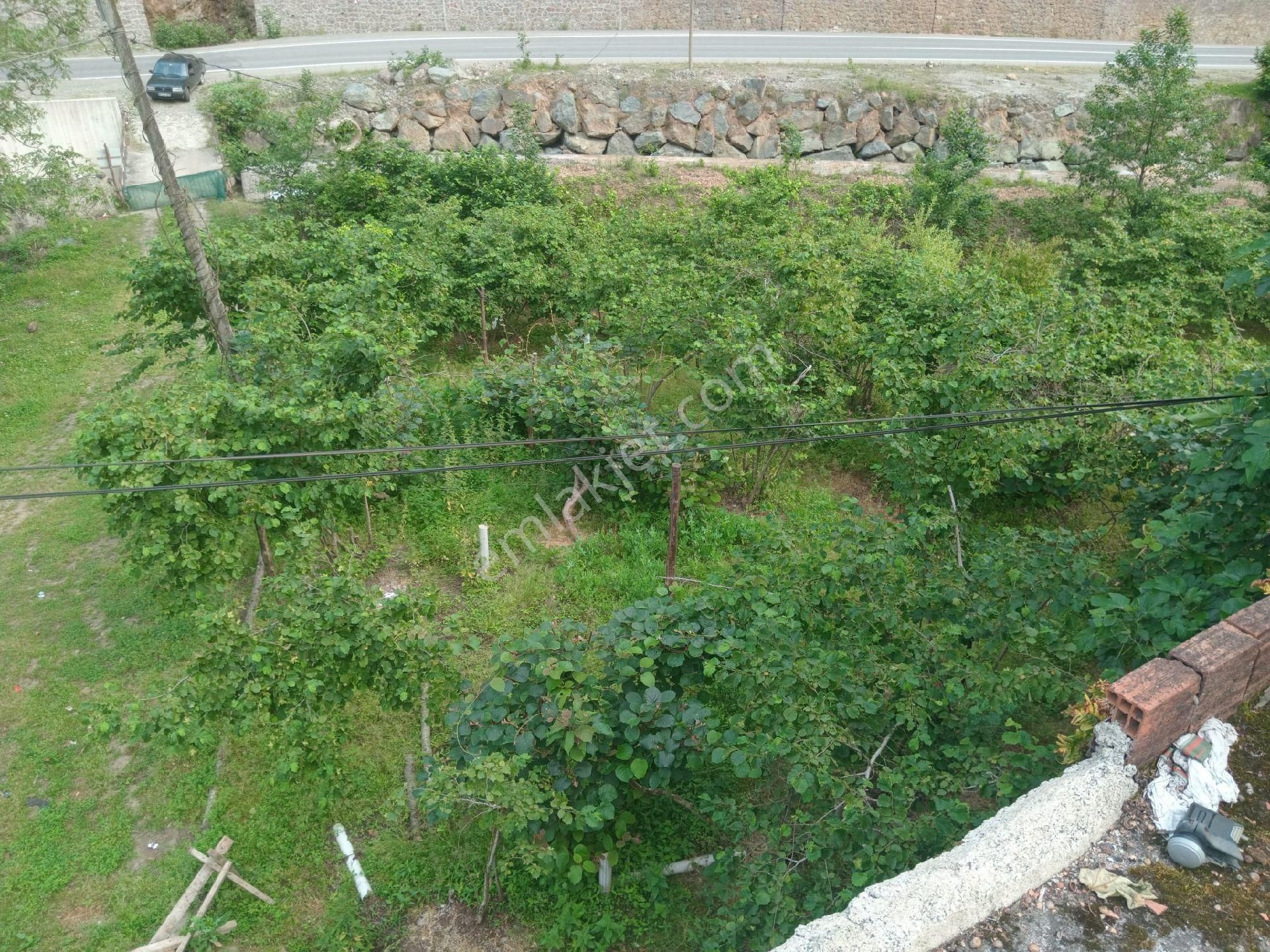 Yanbolu Santa Yolu Üzerinde Satılık 42,5 Dönüm Arazi - Görsel 25