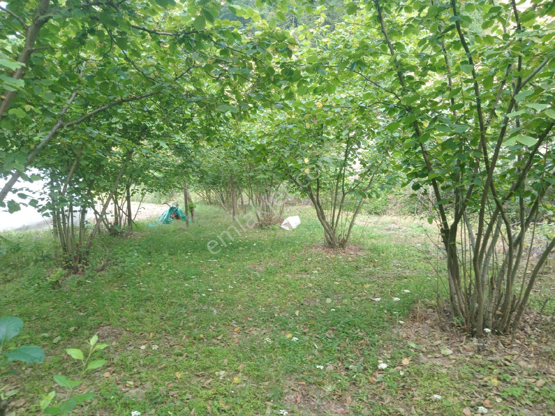 Yanbolu Santa Yolu Üzerinde Satılık 42,5 Dönüm Arazi - Görsel 19