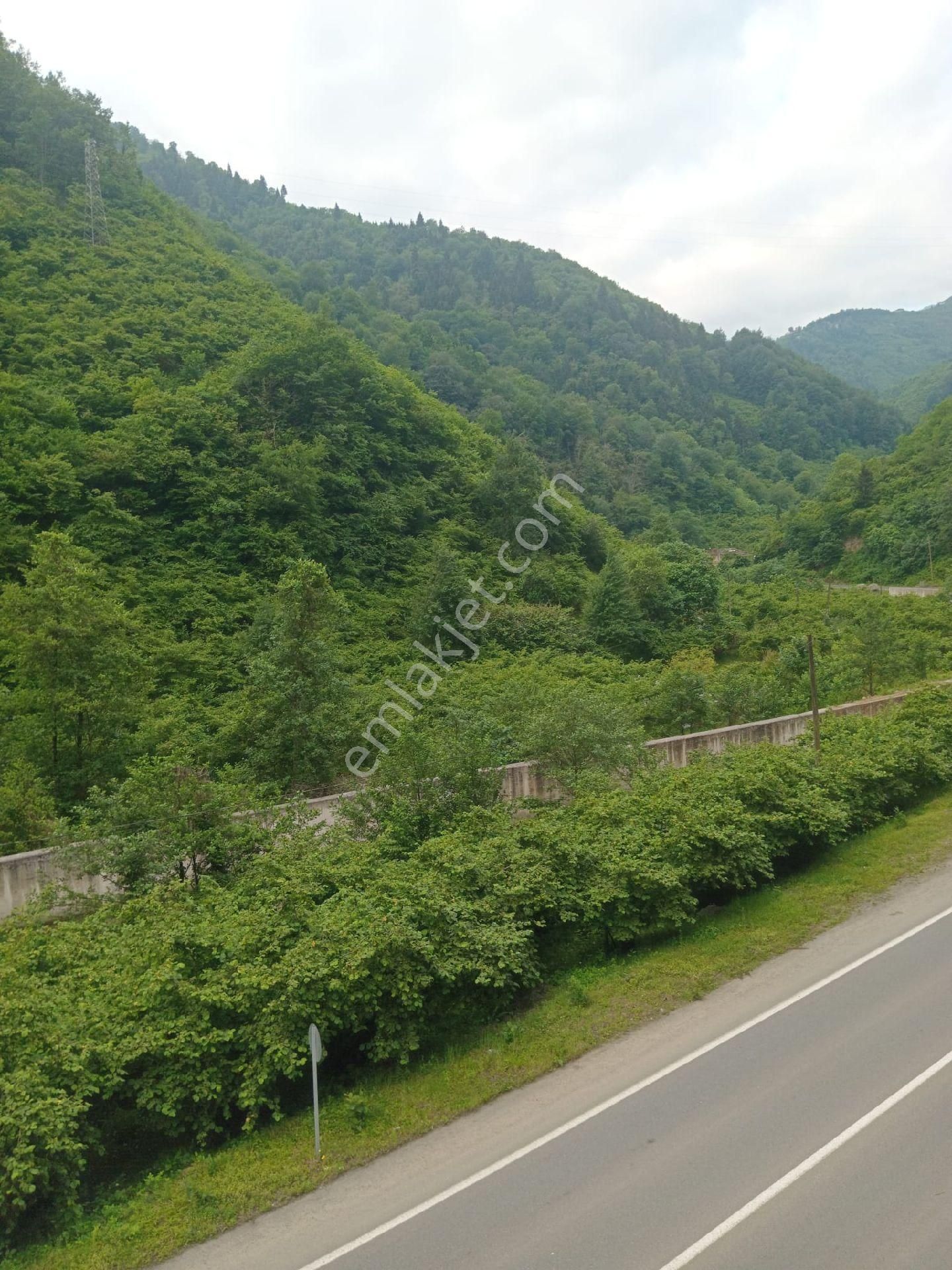 Yanbolu Santa Yolu Üzerinde Satılık 42,5 Dönüm Arazi - Görsel 18