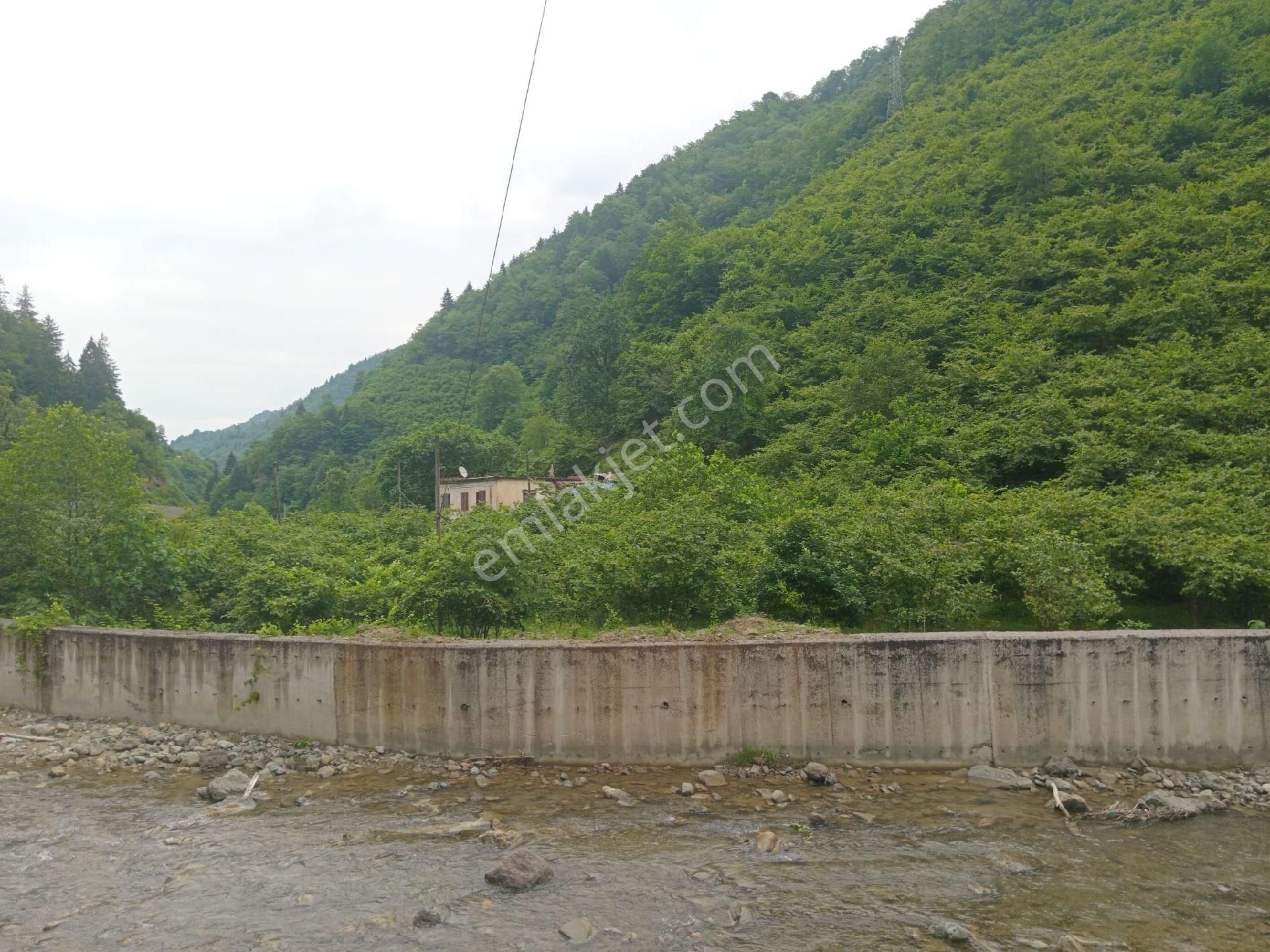 Yanbolu Santa Yolu Üzerinde Satılık 42,5 Dönüm Arazi - Görsel 9