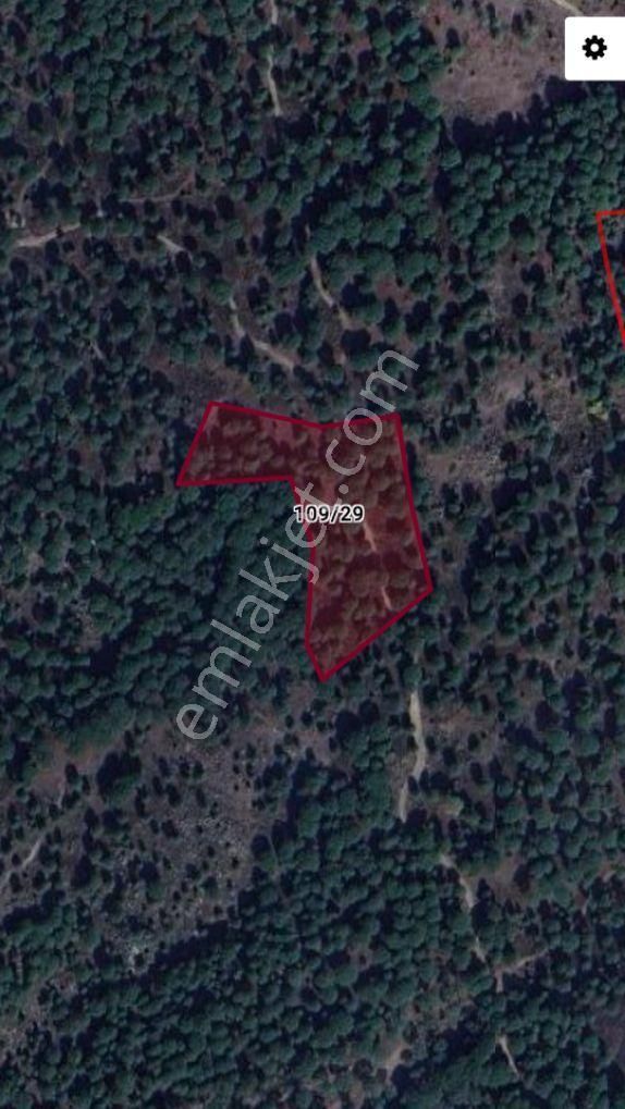 Bergama Göbeller Mah Satılık Fıstıklık