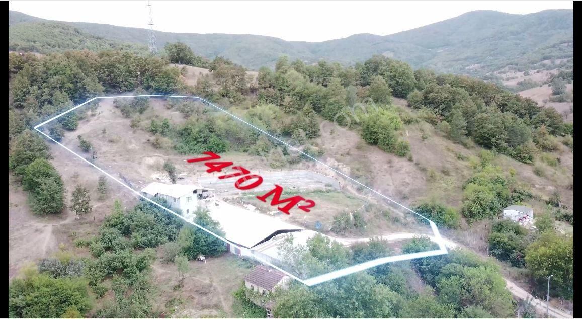 Nilvest'ten Büyükbaş Hayvan Çiftliği – Bursa / Yenişehir / Paşayayla Mh'si - Görsel 2