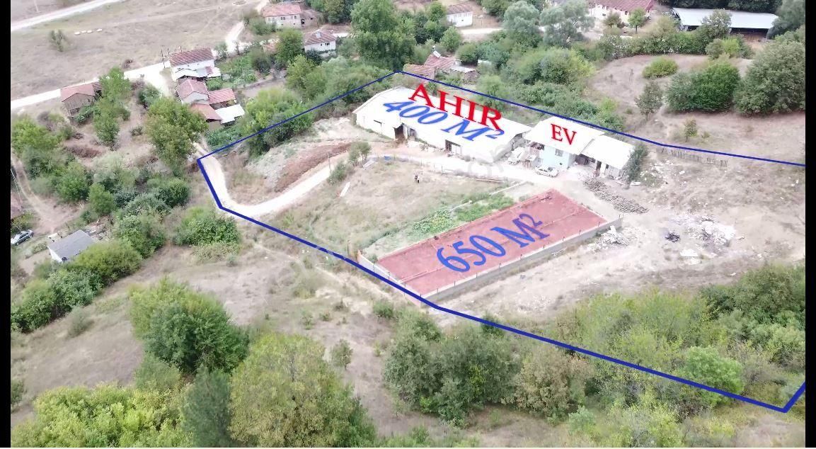 Nilvest'ten Büyükbaş Hayvan Çiftliği – Bursa / Yenişehir / Paşayayla Mh'si - Görsel 4