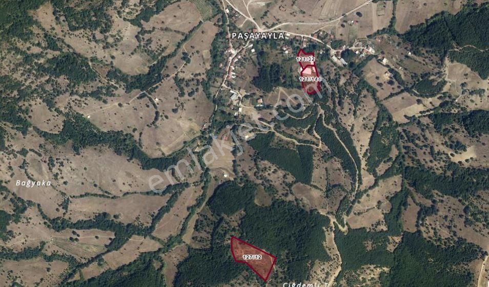 Nilvest'ten Büyükbaş Hayvan Çiftliği – Bursa / Yenişehir / Paşayayla Mh'si - Görsel 6