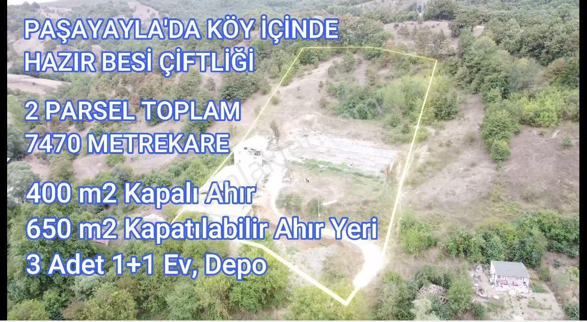 Nilvest'ten Büyükbaş Hayvan Çiftliği – Bursa / Yenişehir / Paşayayla Mh'si - Görsel 3