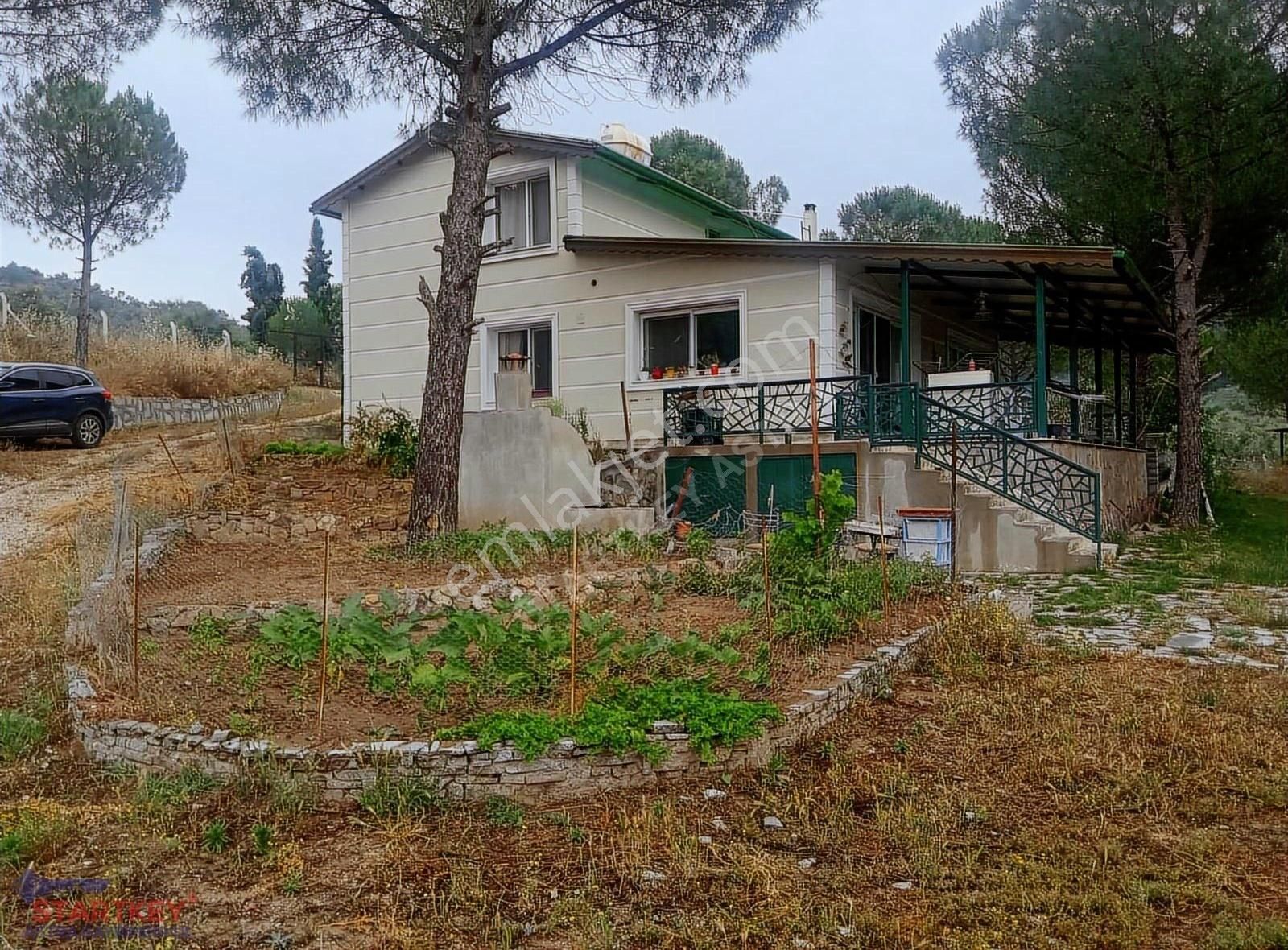 Dikili 3900m2 Arazi İçinde Çiftlikevi Satılık