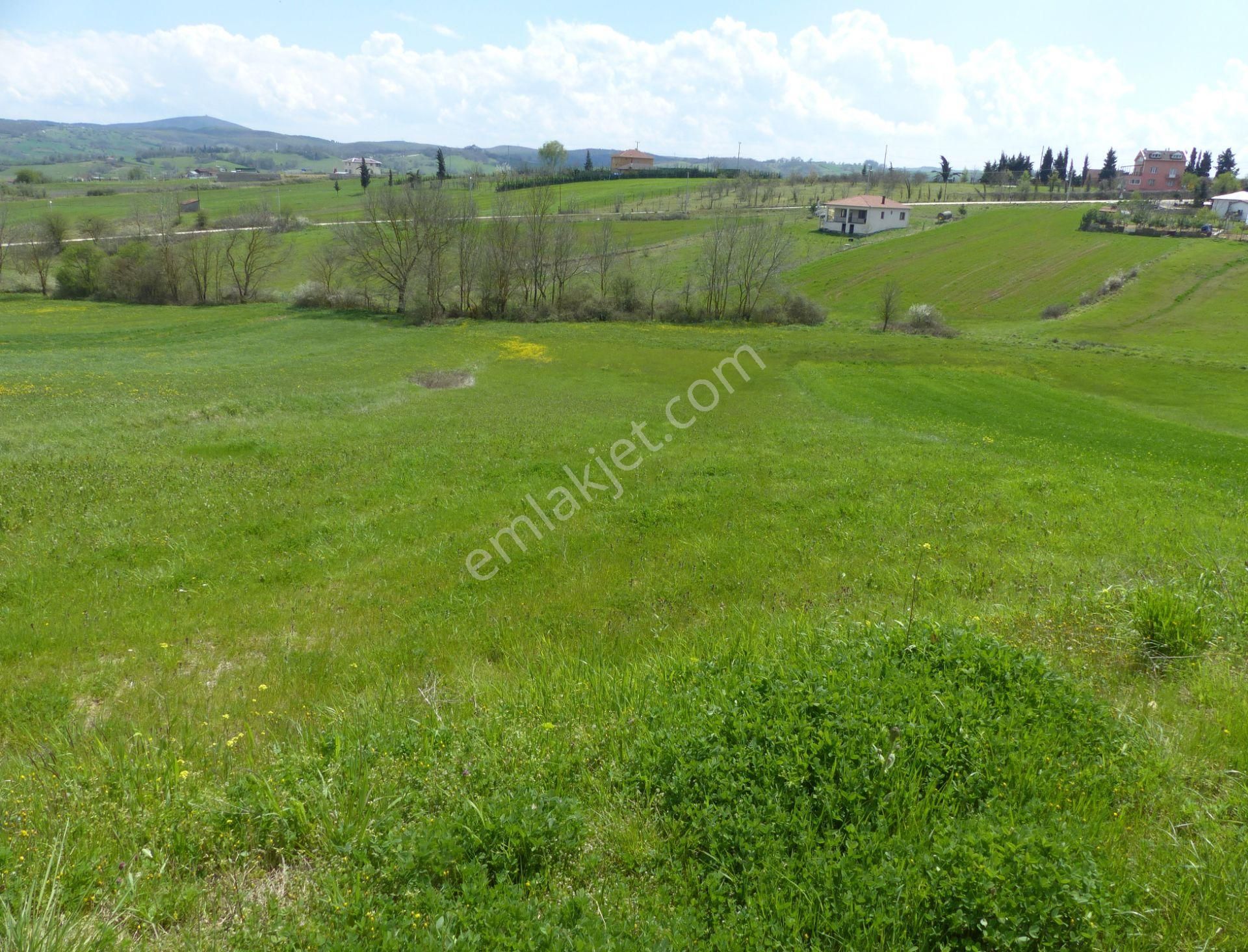 Kaçırılmaz Fırsat Satılık 2438 M2 Tarla Körfez/şemsettin