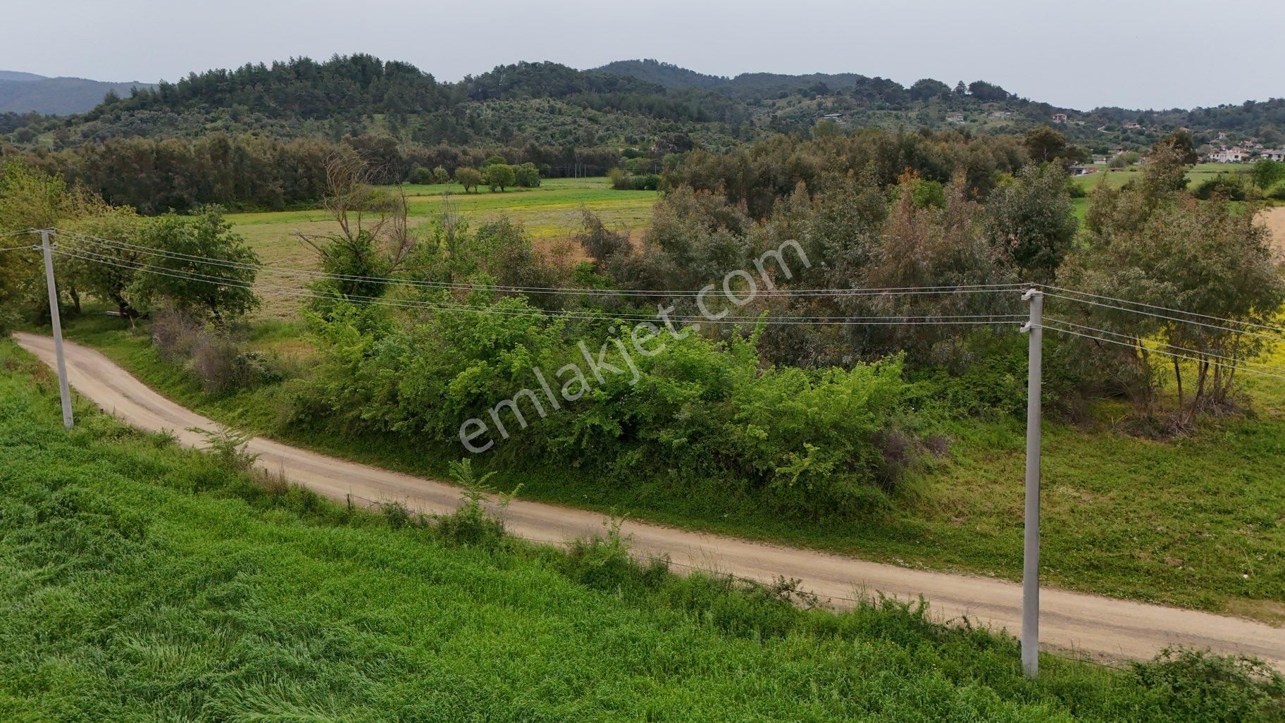 Muğla Ula Esentepe ‘de 7.991 M2 Yolu, Elektiriği Olan Tarla - Görsel 14