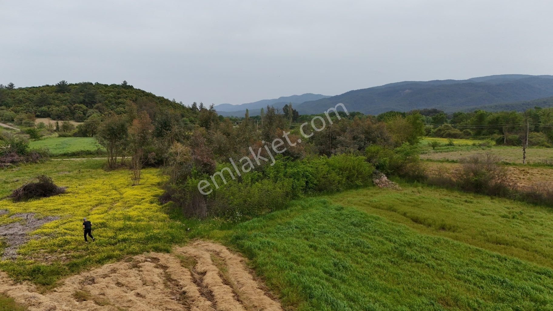 Muğla Ula Esentepe ‘de 7.991 M2 Yolu, Elektiriği Olan Tarla - Görsel 11