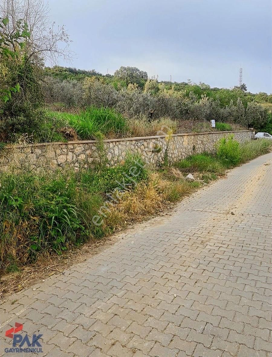 İpekyayla Anayola Cephe Manzaralı Emsalsz Kupon2901m²frsat Arazi - Görsel 2