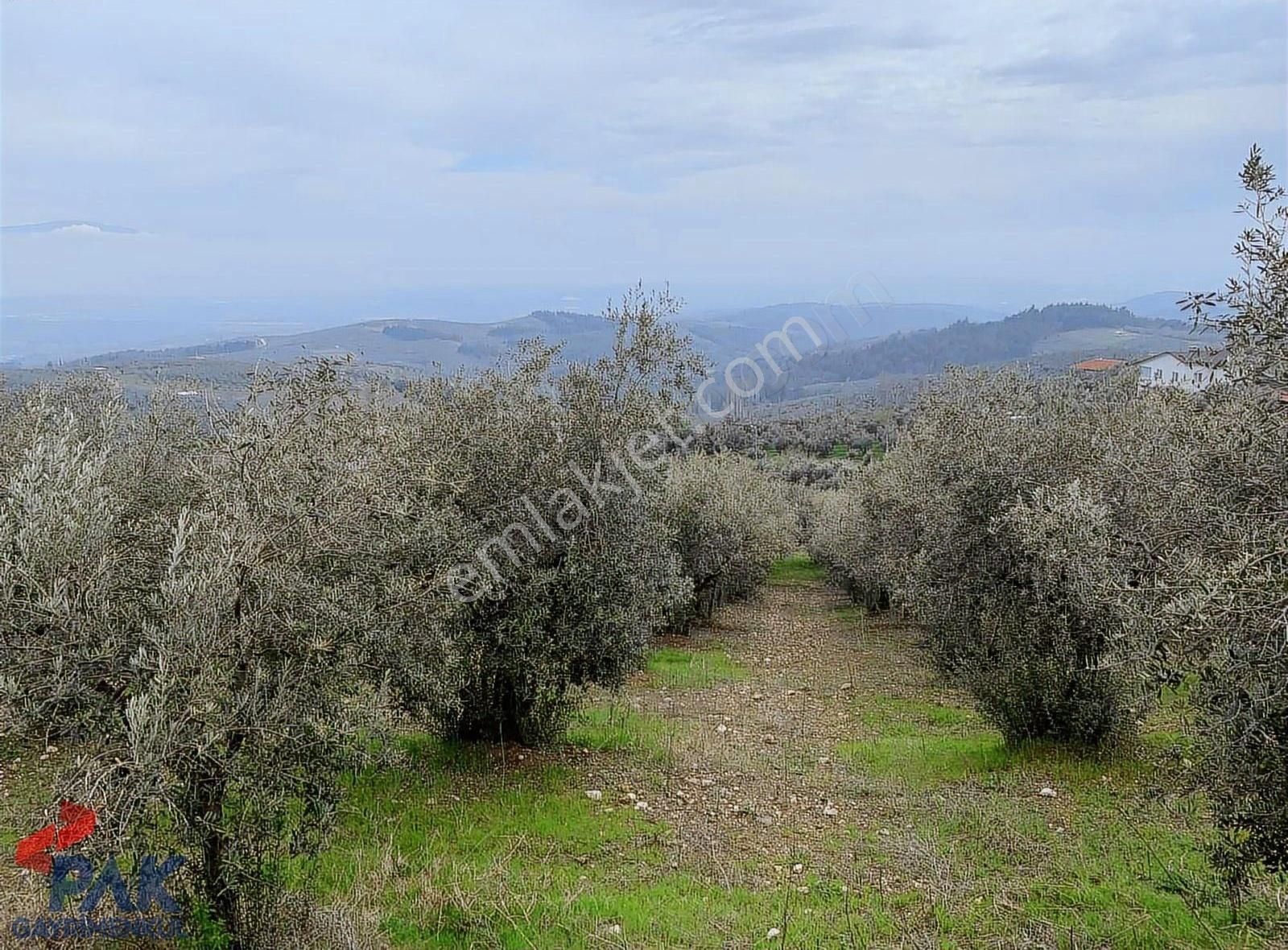 İpekyayla Anayola Cephe Manzaralı Emsalsz Kupon2901m²frsat Arazi - Görsel 19