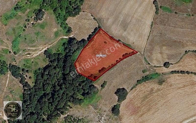 Kofçaz / Ahmetler'de 6.752 M² Satılık Kupon Arazi Sakın Kaçırma
