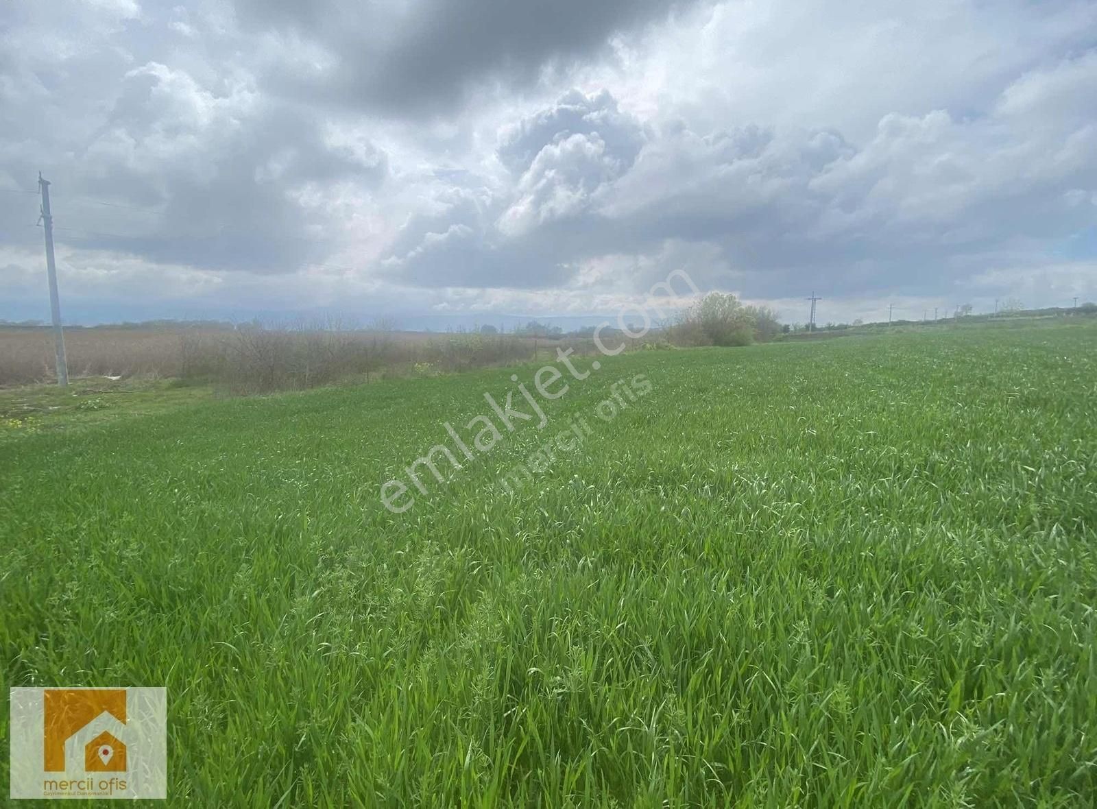 Mercii Ofis Den Karacabey Eskikaraağaç Köyün De Yatırımlık Arazi - Görsel 6