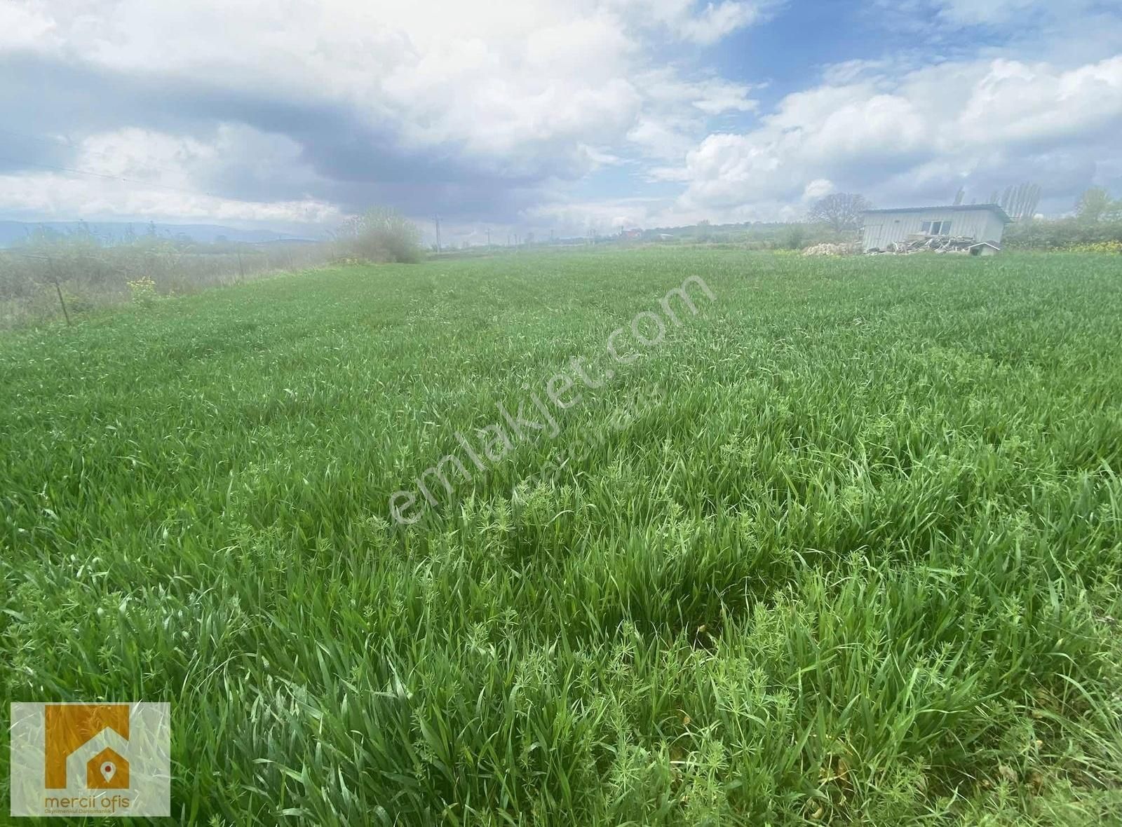 Mercii Ofis Den Karacabey Eskikaraağaç Köyün De Yatırımlık Arazi - Görsel 11