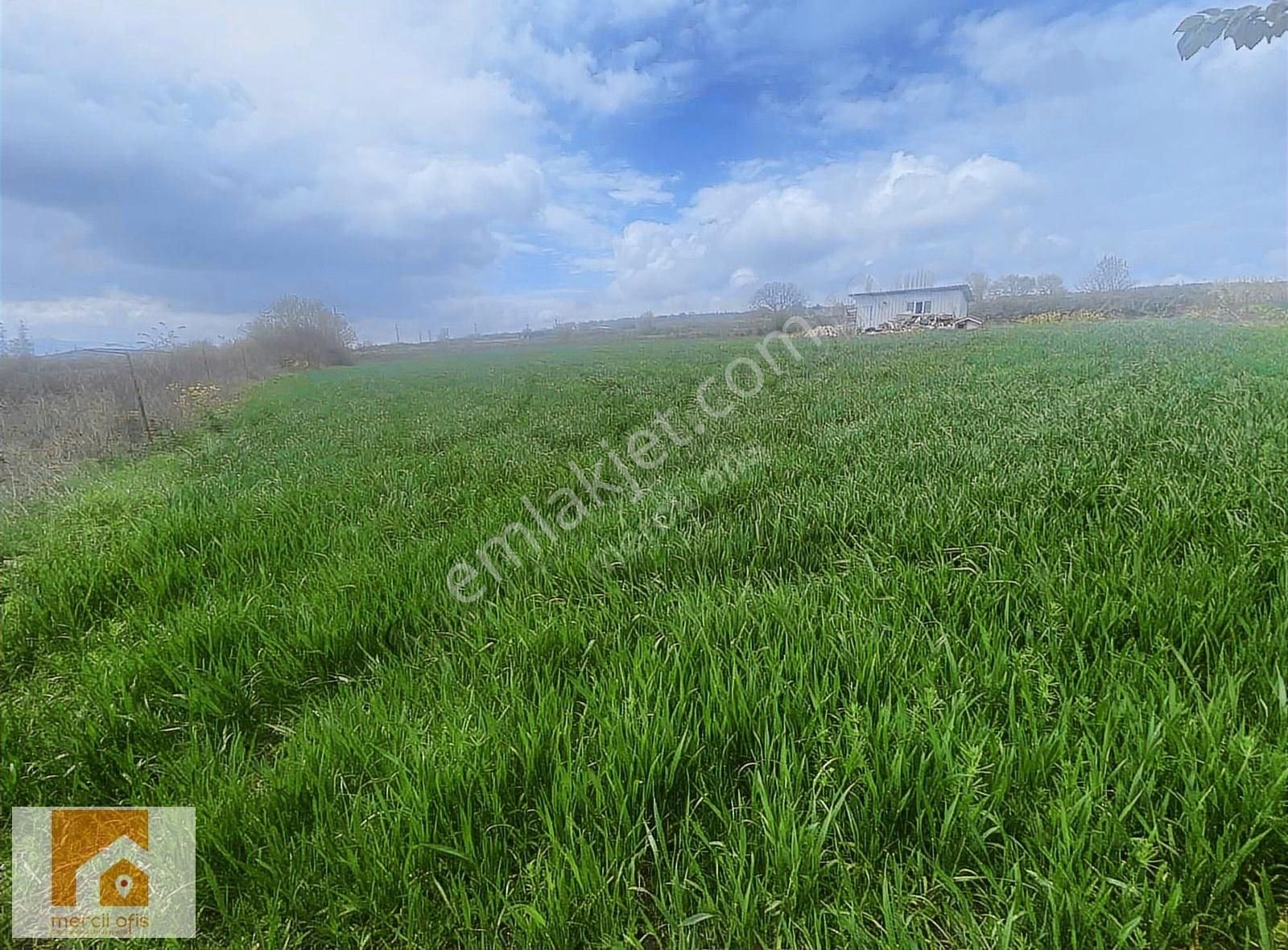 Mercii Ofis Den Karacabey Eskikaraağaç Köyün De Yatırımlık Arazi - Görsel 3