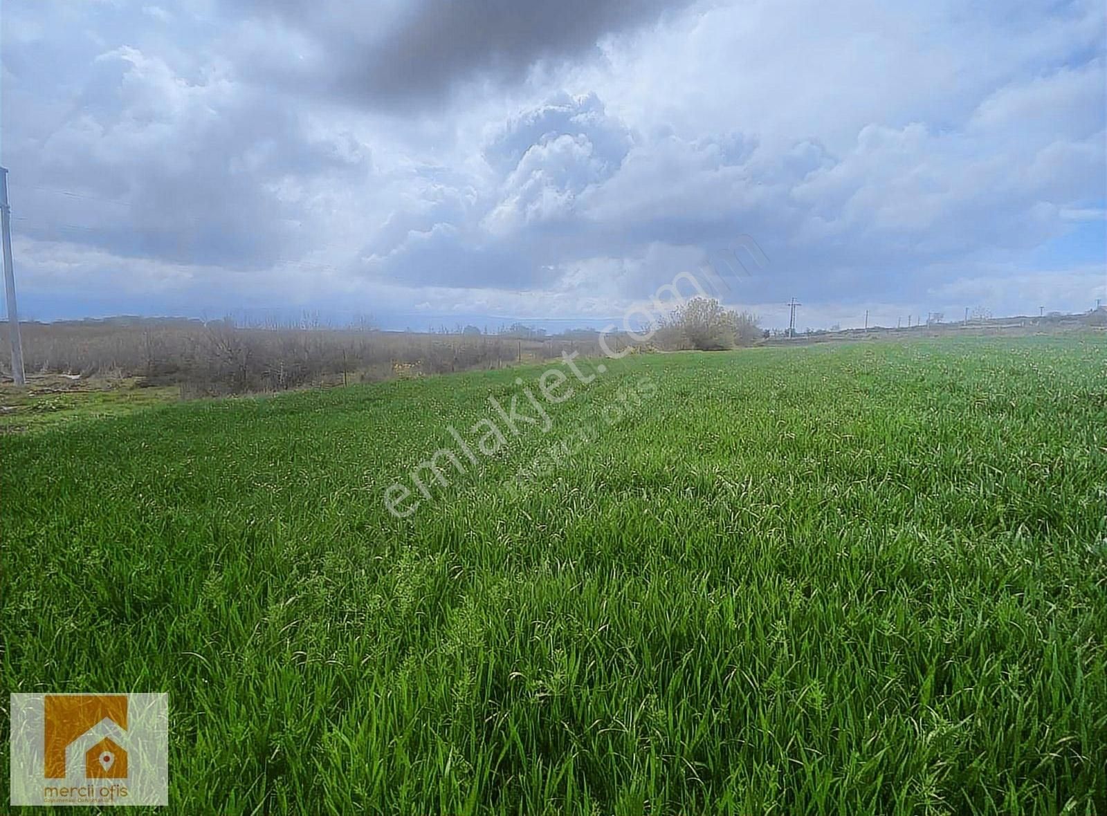 Mercii Ofis Den Karacabey Eskikaraağaç Köyün De Yatırımlık Arazi - Görsel 4