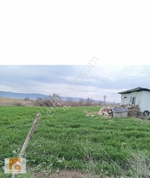 Mercii Ofis Den Karacabey Eskikaraağaç Köyün De Yatırımlık Arazi - Görsel 9