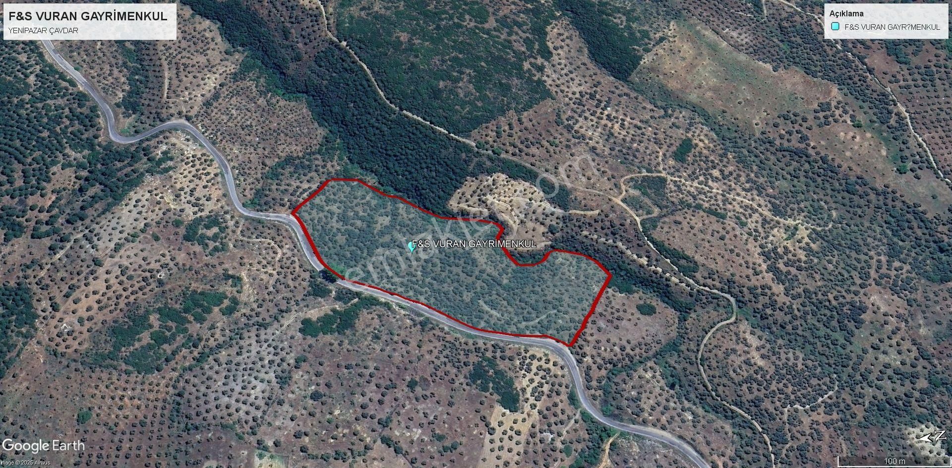 Yenipazar’da Asfalt Kenarı, İç Yolu Olan 30 Dönüm Verimli Zeytinlik! 100 Ton Ürün Potansiyeli - Görsel 11