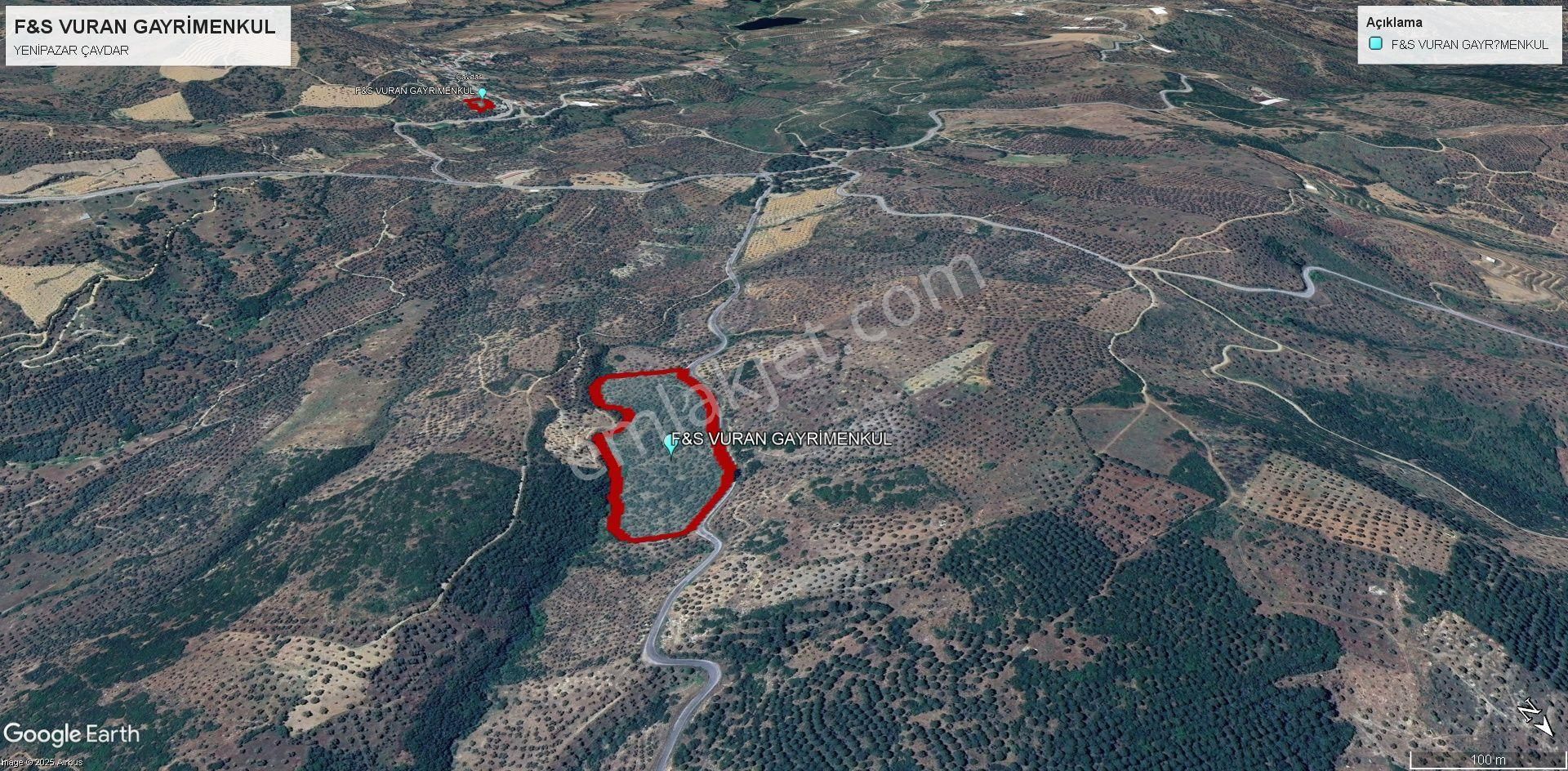 Yenipazar’da Asfalt Kenarı, İç Yolu Olan 30 Dönüm Verimli Zeytinlik! 100 Ton Ürün Potansiyeli - Görsel 9