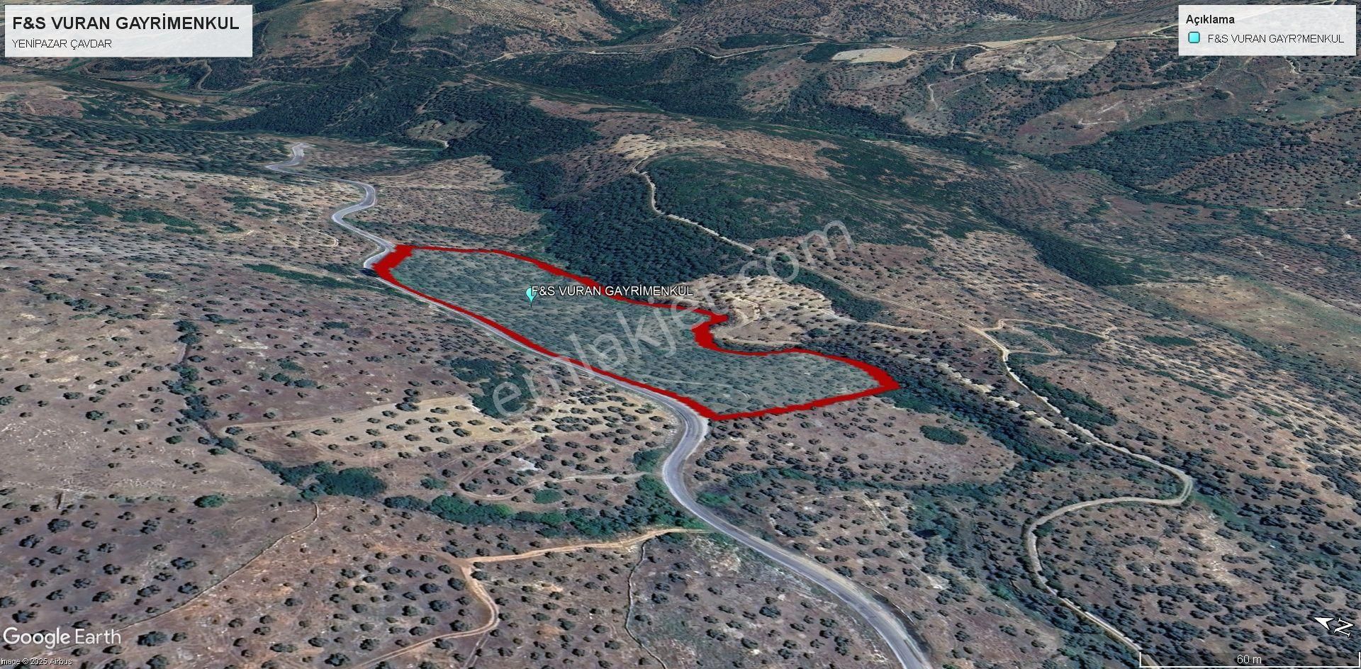Yenipazar’da Asfalt Kenarı, İç Yolu Olan 30 Dönüm Verimli Zeytinlik! 100 Ton Ürün Potansiyeli - Görsel 10