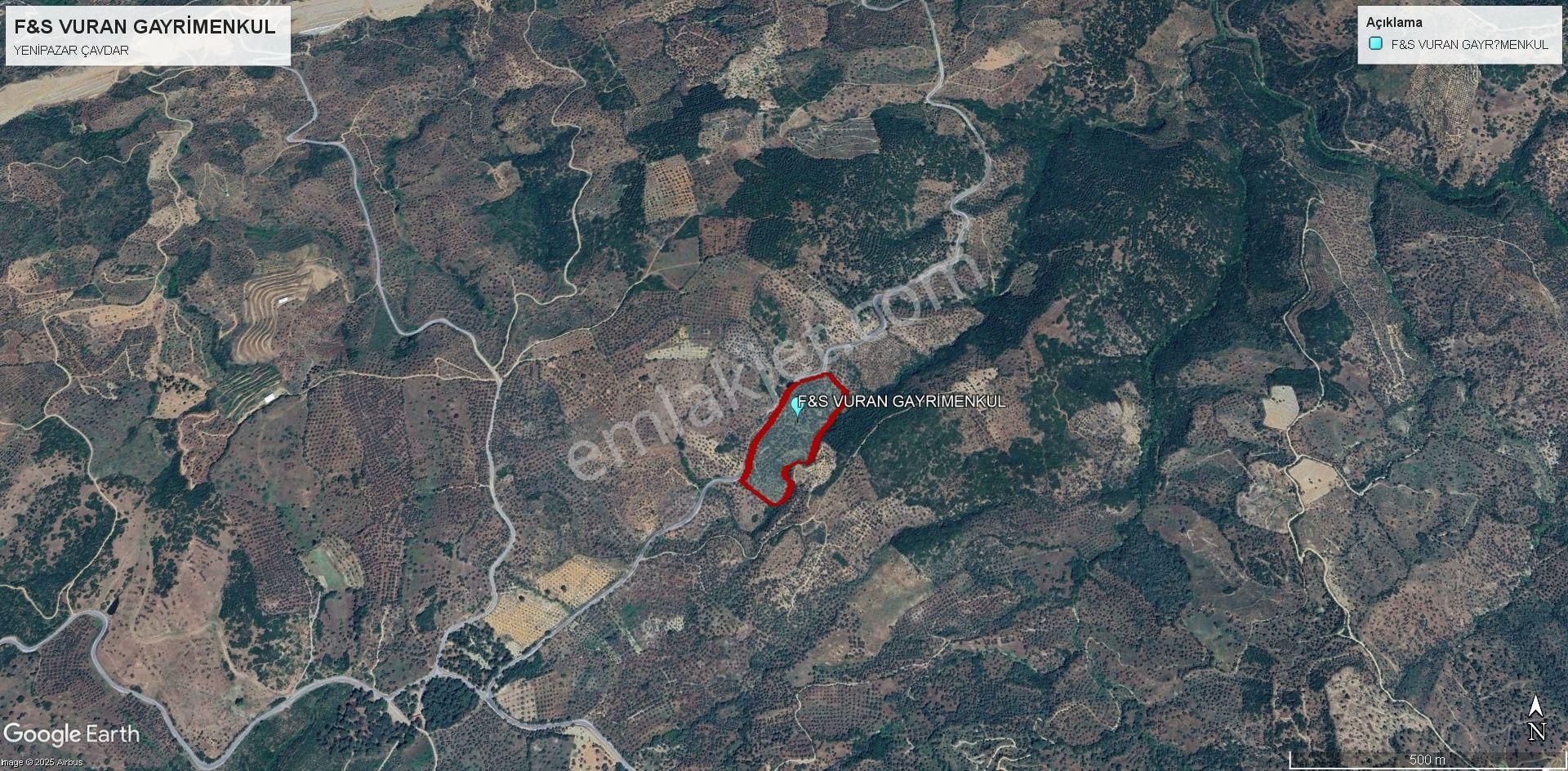 Yenipazar’da Asfalt Kenarı, İç Yolu Olan 30 Dönüm Verimli Zeytinlik! 100 Ton Ürün Potansiyeli - Görsel 7