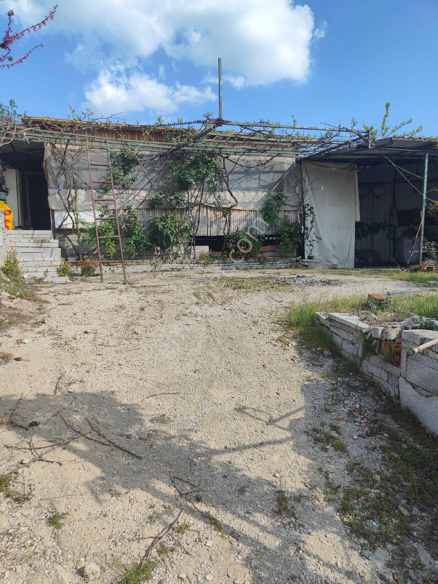 Bayındır Gayrimenkul - Kınık Yaylaköy Satılık Arsa - Görsel 23