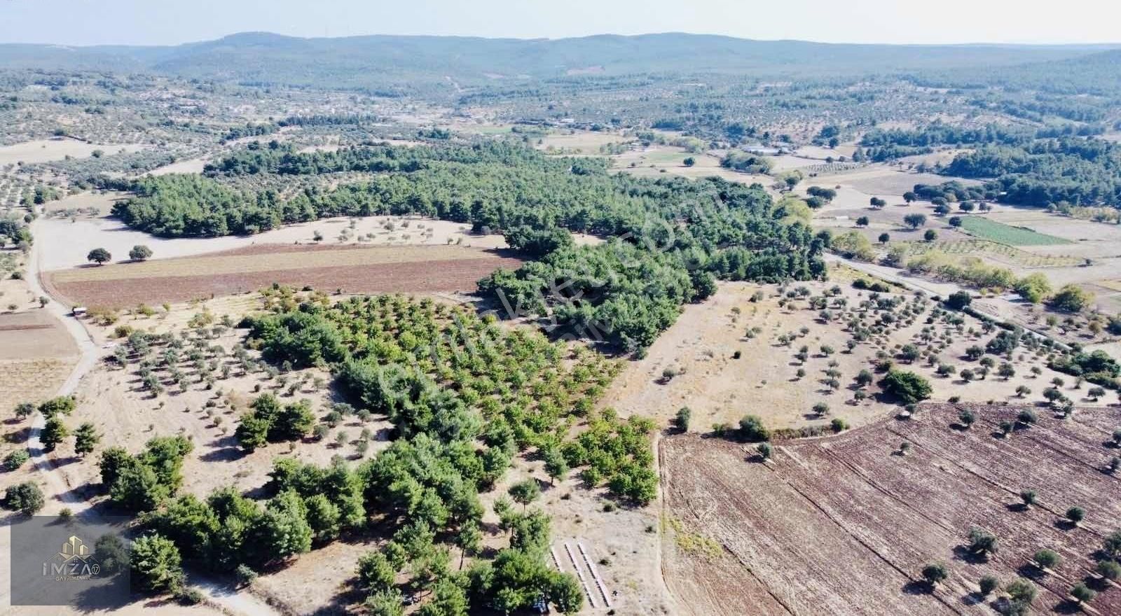 Çanakkale Merkez Köy Dümrek Çeviz Bahçesi Yatırıma Uygun - Görsel 14