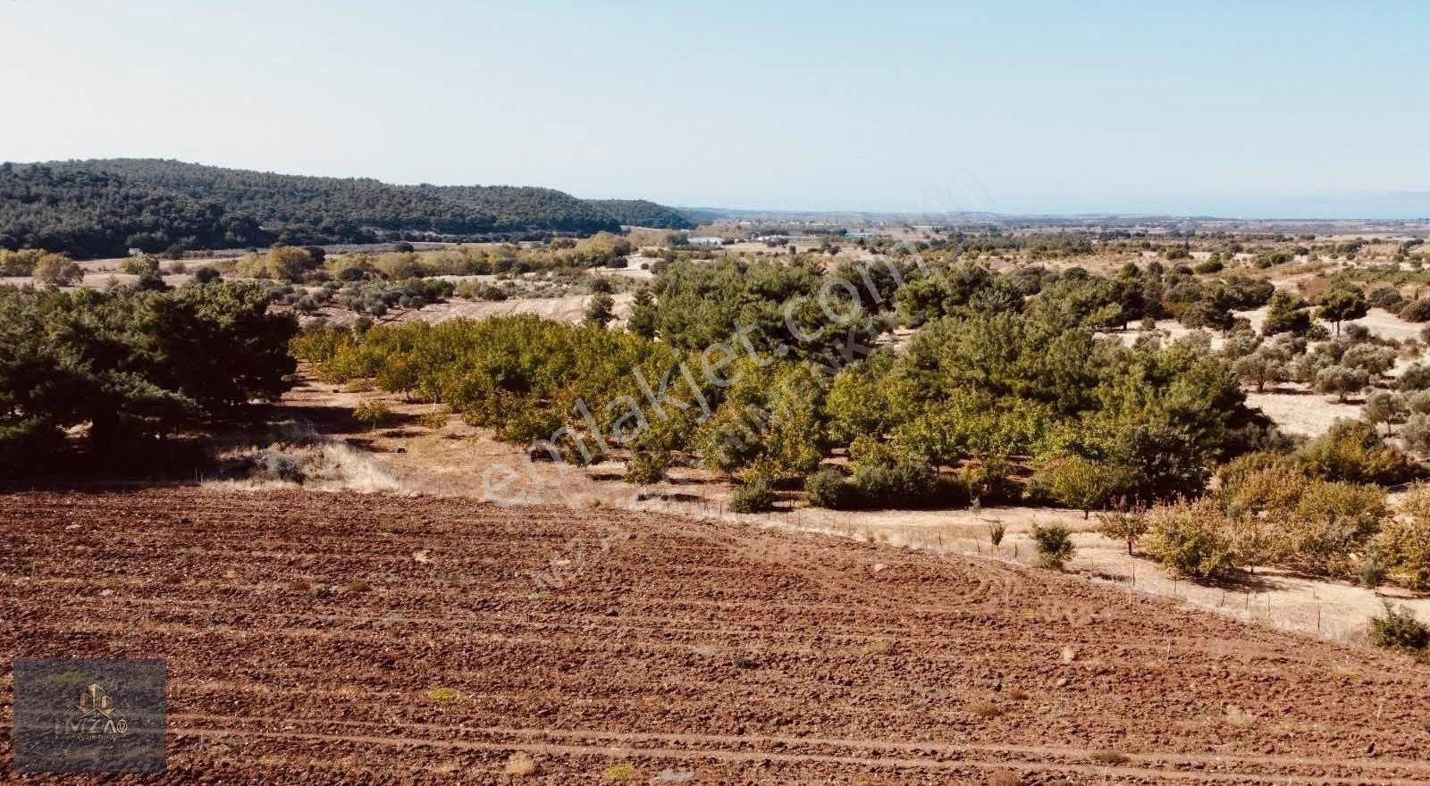 Çanakkale Merkez Köy Dümrek Çeviz Bahçesi Yatırıma Uygun - Görsel 10