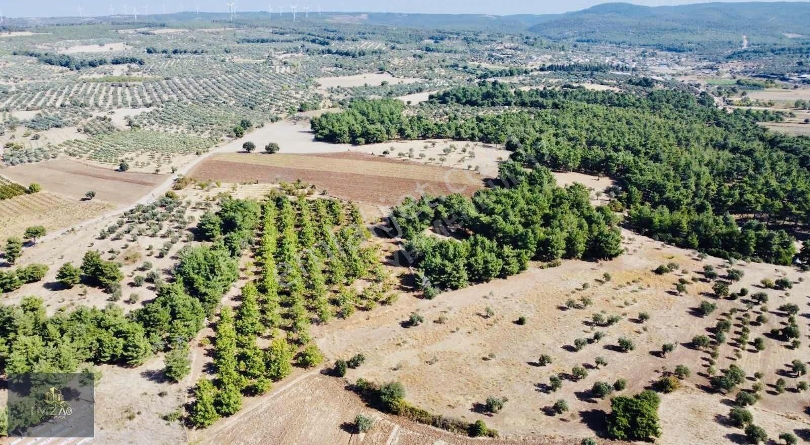Çanakkale Merkez Köy Dümrek Çeviz Bahçesi Yatırıma Uygun - Görsel 3
