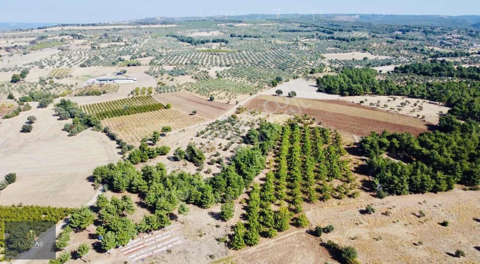 Çanakkale Merkez Köy Dümrek Çeviz Bahçesi Yatırıma Uygun - Görsel 9