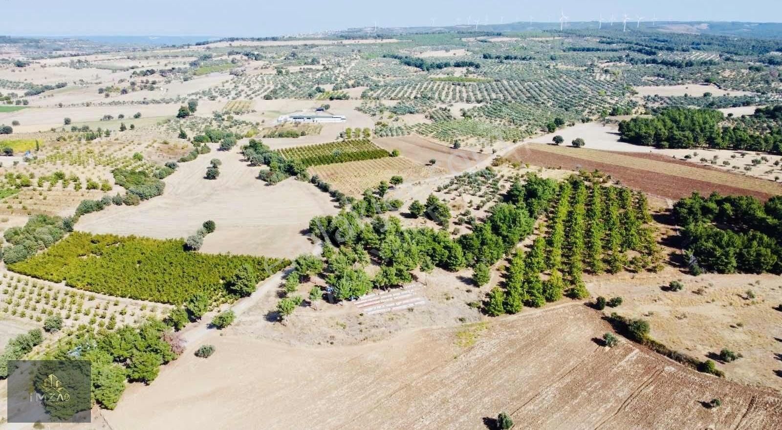Çanakkale Merkez Köy Dümrek Çeviz Bahçesi Yatırıma Uygun - Görsel 15