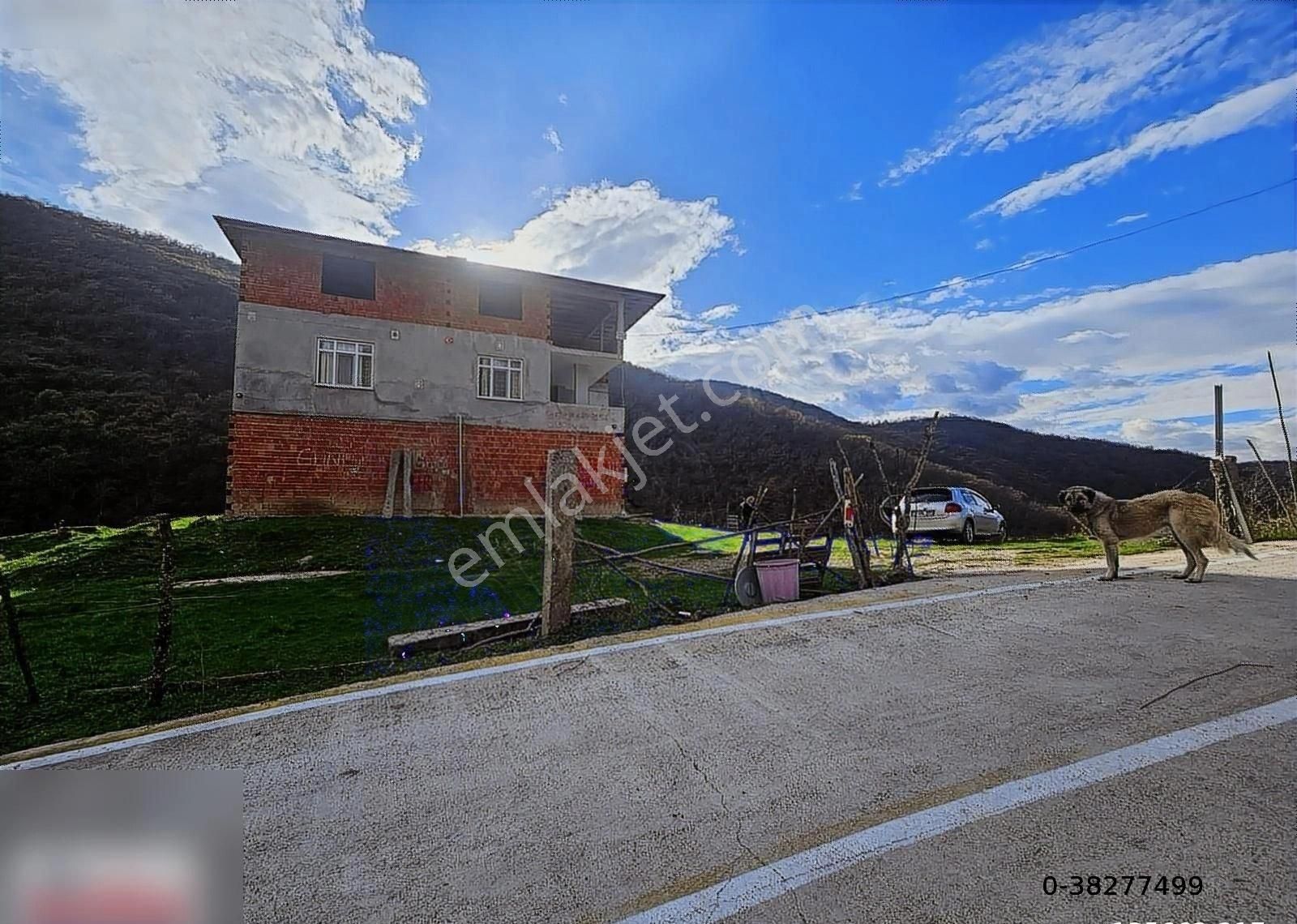 Kavak Boğazicınde Mustakıl 1954 M2 3 Katlı Bina Satılık