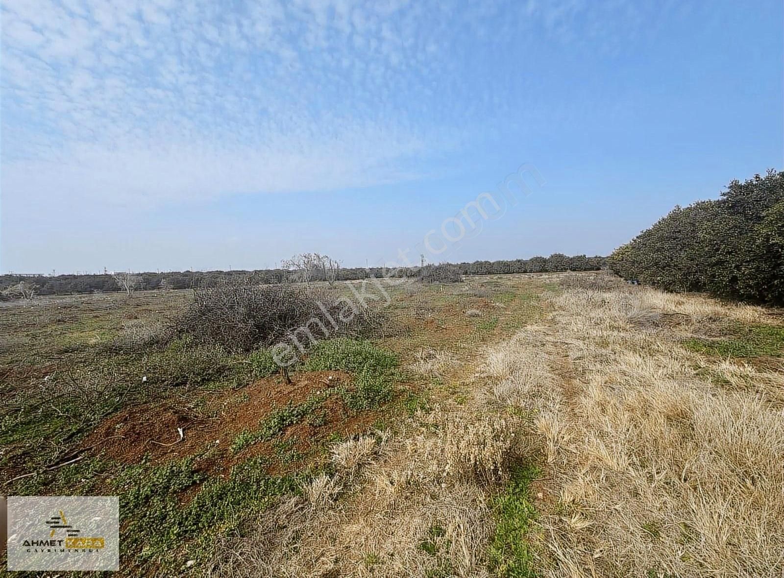 Ahmet Kara'dan Toroslar Arpaçsakarlar'da 9227 M² Satılık Parsel