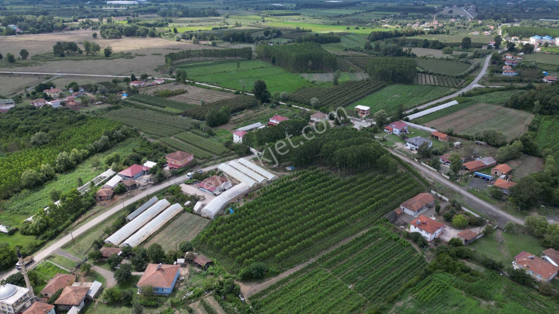 Satılık 14.359 M² Samsun / Çarşamba Yatırımlık & Tarla - Görsel 9