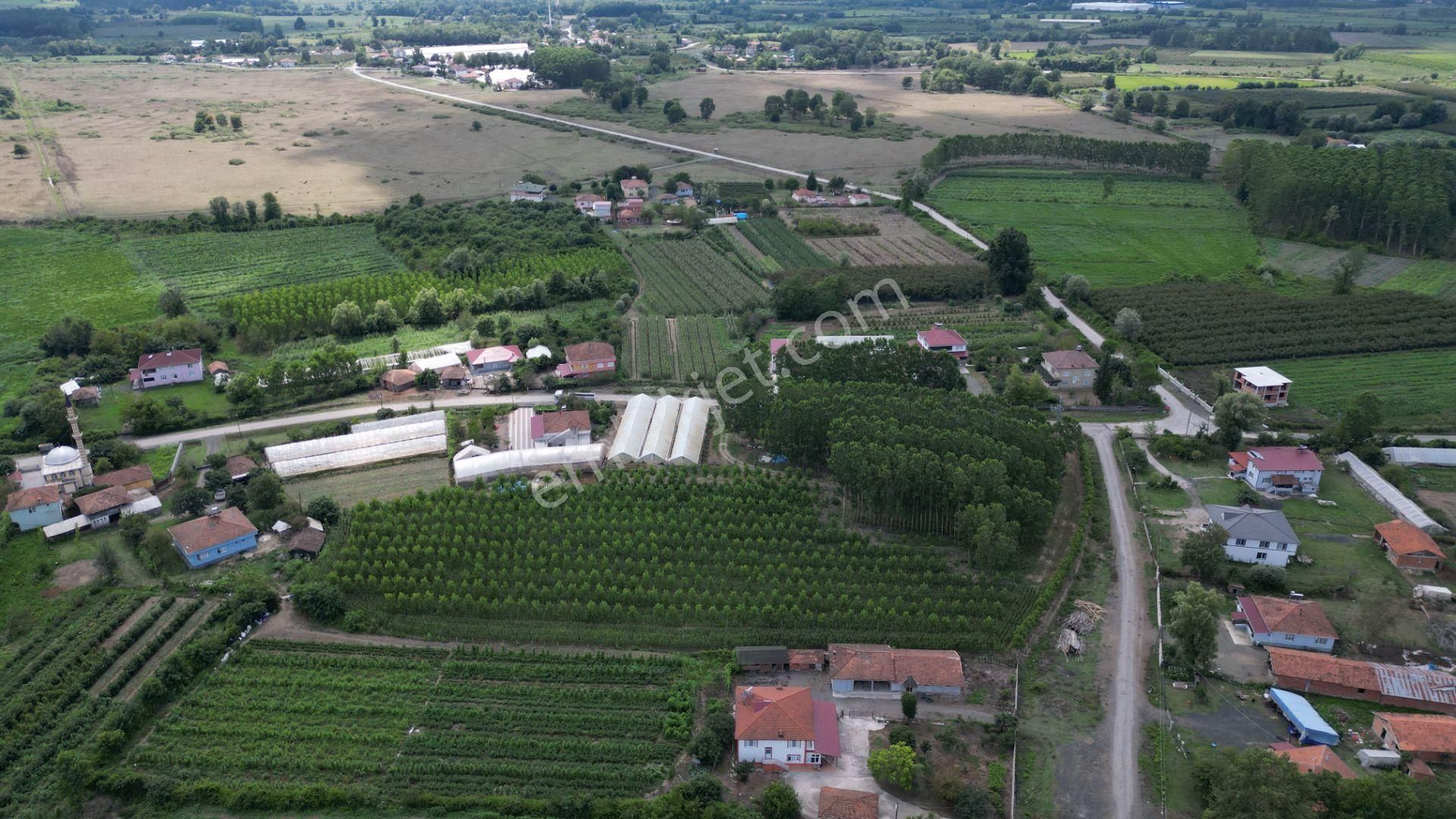 Satılık 14.359 M² Samsun / Çarşamba Yatırımlık & Tarla - Görsel 8