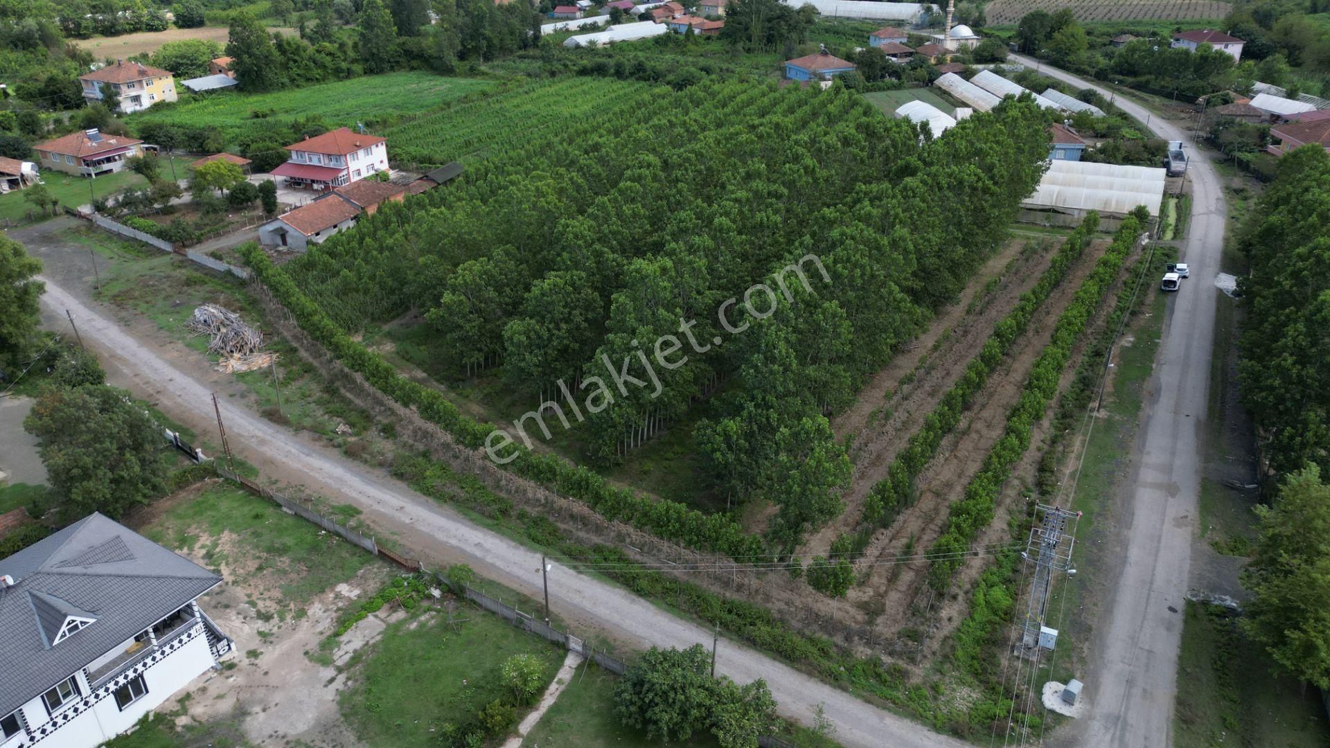 Satılık 14.359 M² Samsun / Çarşamba Yatırımlık & Tarla - Görsel 12