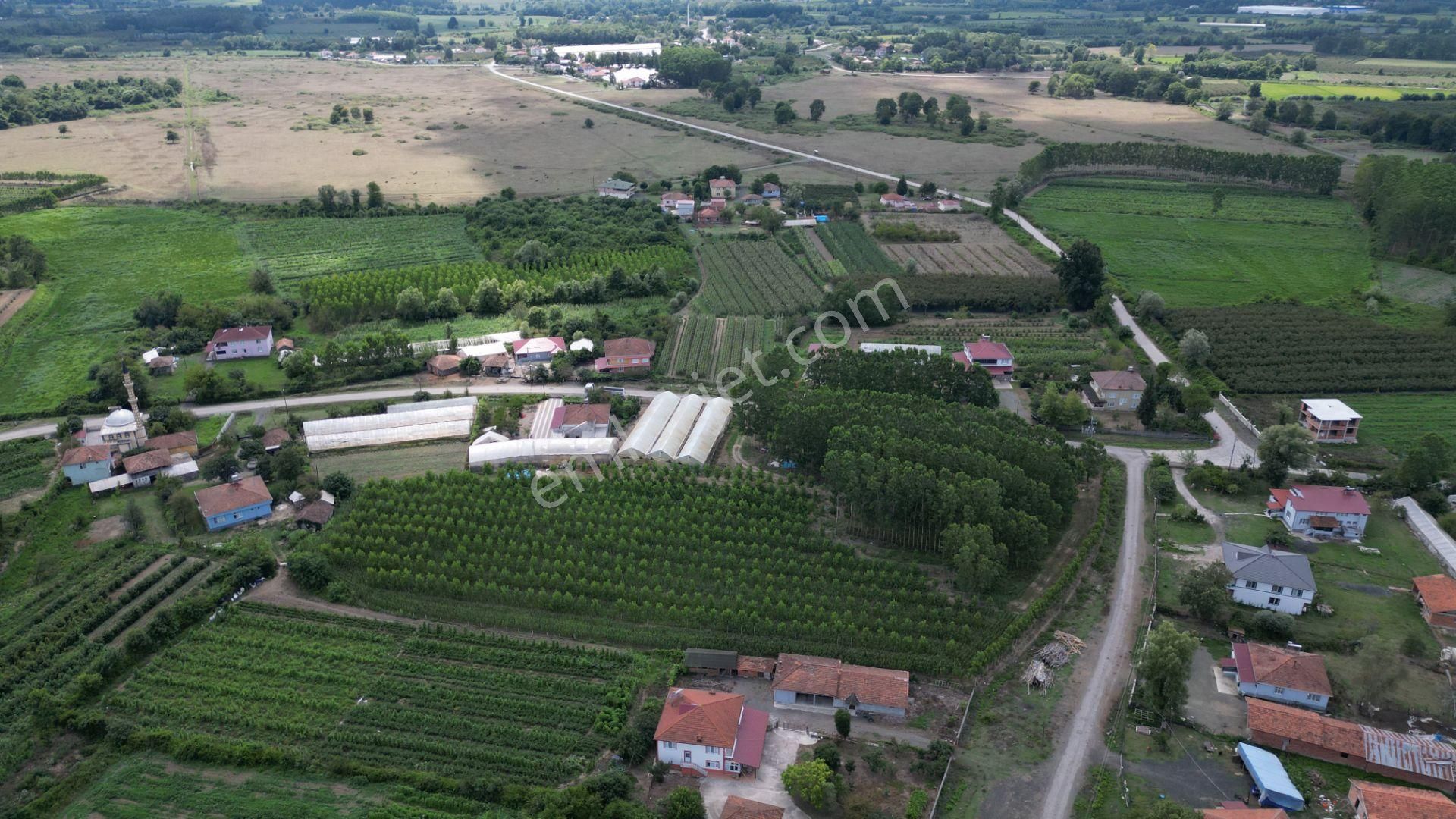 Satılık 14.359 M² Samsun / Çarşamba Yatırımlık & Tarla - Görsel 7