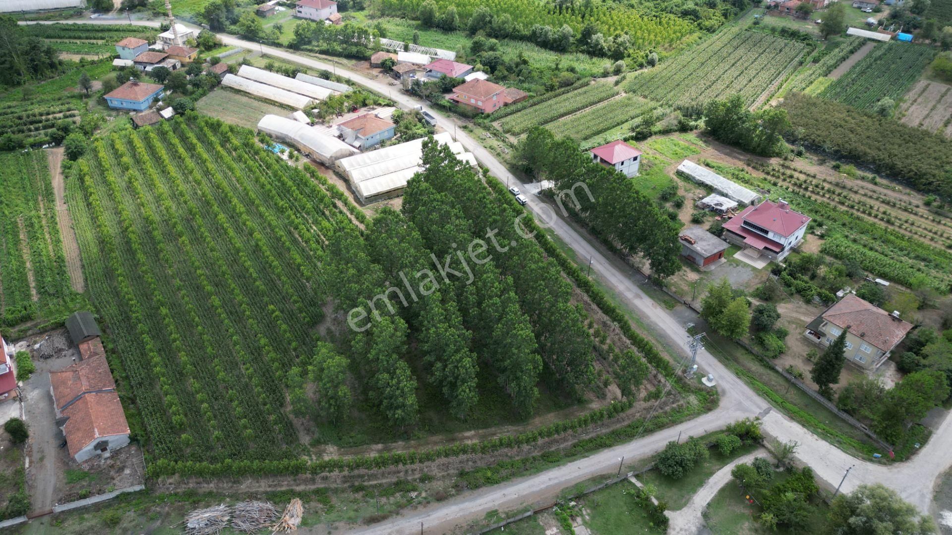 Satılık 14.359 M² Samsun / Çarşamba Yatırımlık & Tarla - Görsel 6