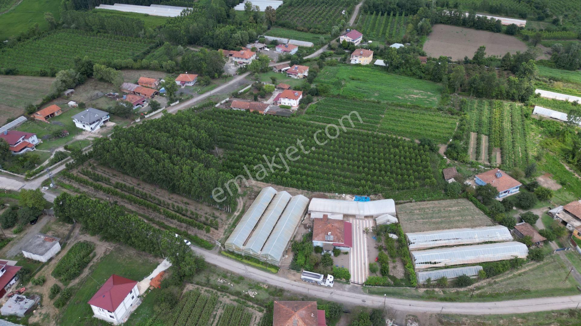Satılık 14.359 M² Samsun / Çarşamba Yatırımlık & Tarla - Görsel 10