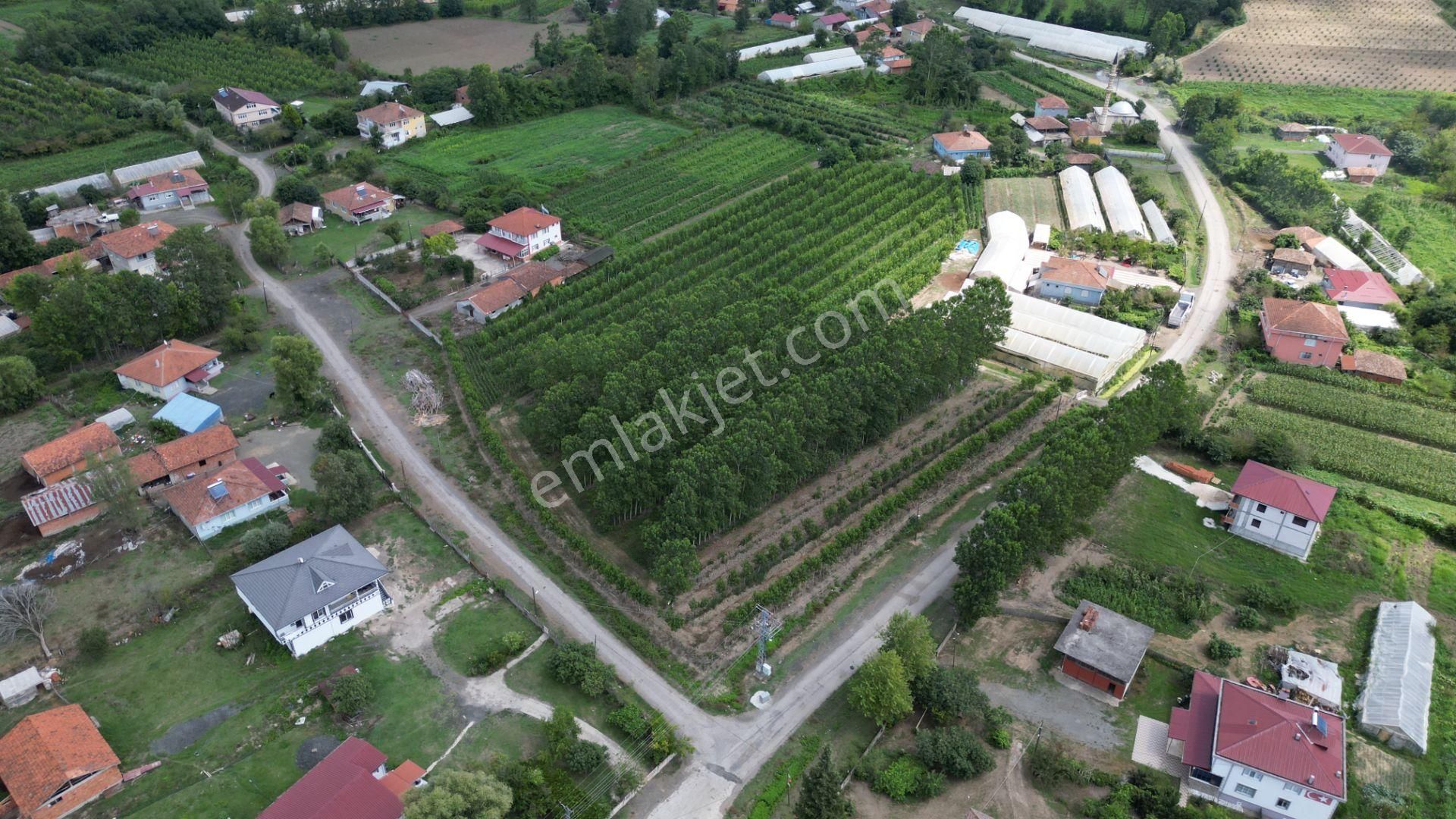 Satılık 14.359 M² Samsun / Çarşamba Yatırımlık & Tarla - Görsel 3