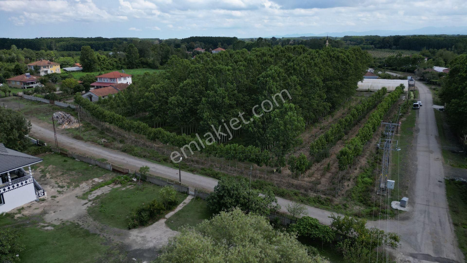 Satılık 14.359 M² Samsun / Çarşamba Yatırımlık & Tarla - Görsel 11