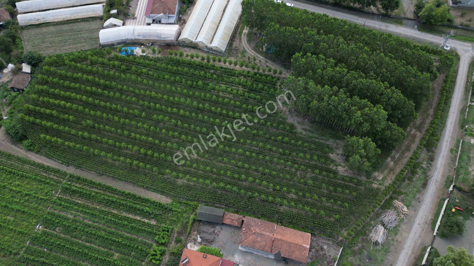 Satılık 14.359 M² Samsun / Çarşamba Yatırımlık & Tarla - Görsel 15