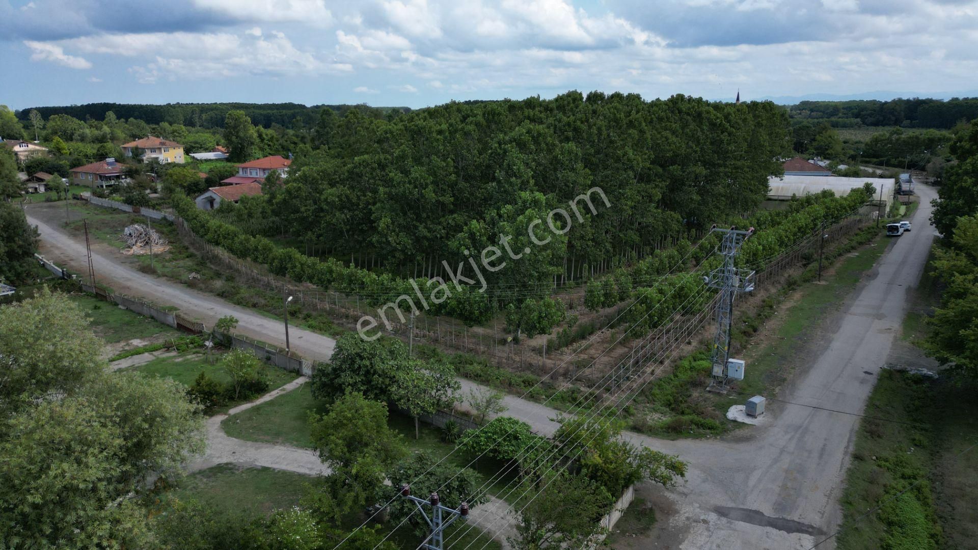 Satılık 14.359 M² Samsun / Çarşamba Yatırımlık & Tarla - Görsel 14