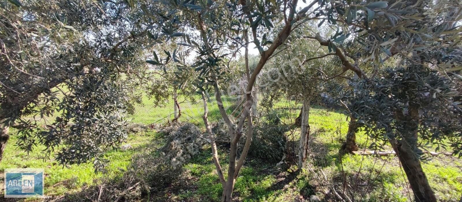 Arden Gyo'dan Menderes Kısık Girişinde İmarlı Arsa - Görsel 3
