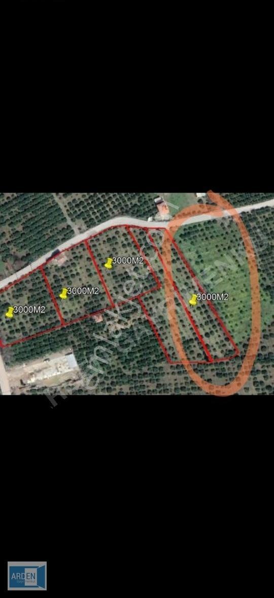 Arden Gyo'dan Kavakdere Orhanlı Yol Ayrmında Köy İçi İmarlı Arsa - Görsel 34