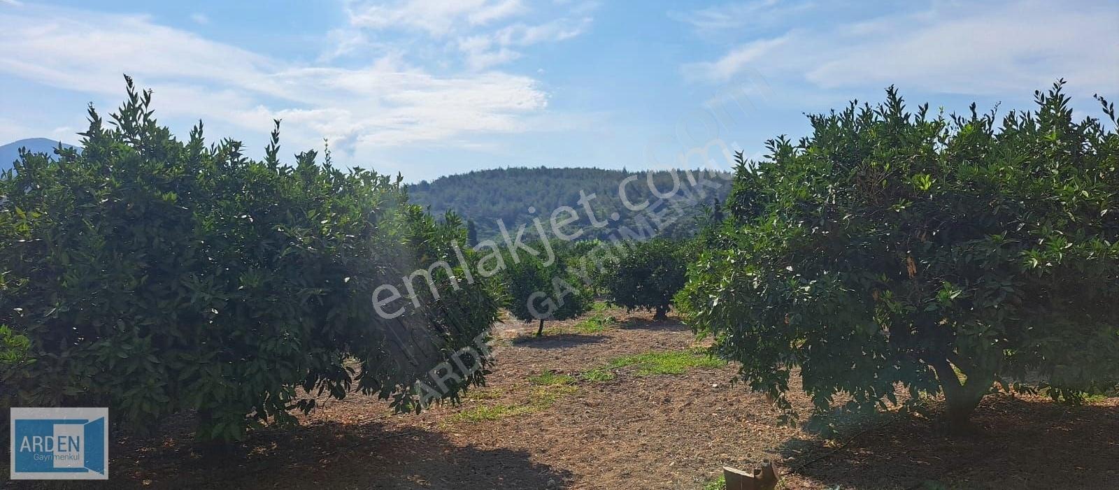 Arden Gyo'dan Kavakdere Orhanlı Yol Ayrmında Köy İçi İmarlı Arsa - Görsel 14